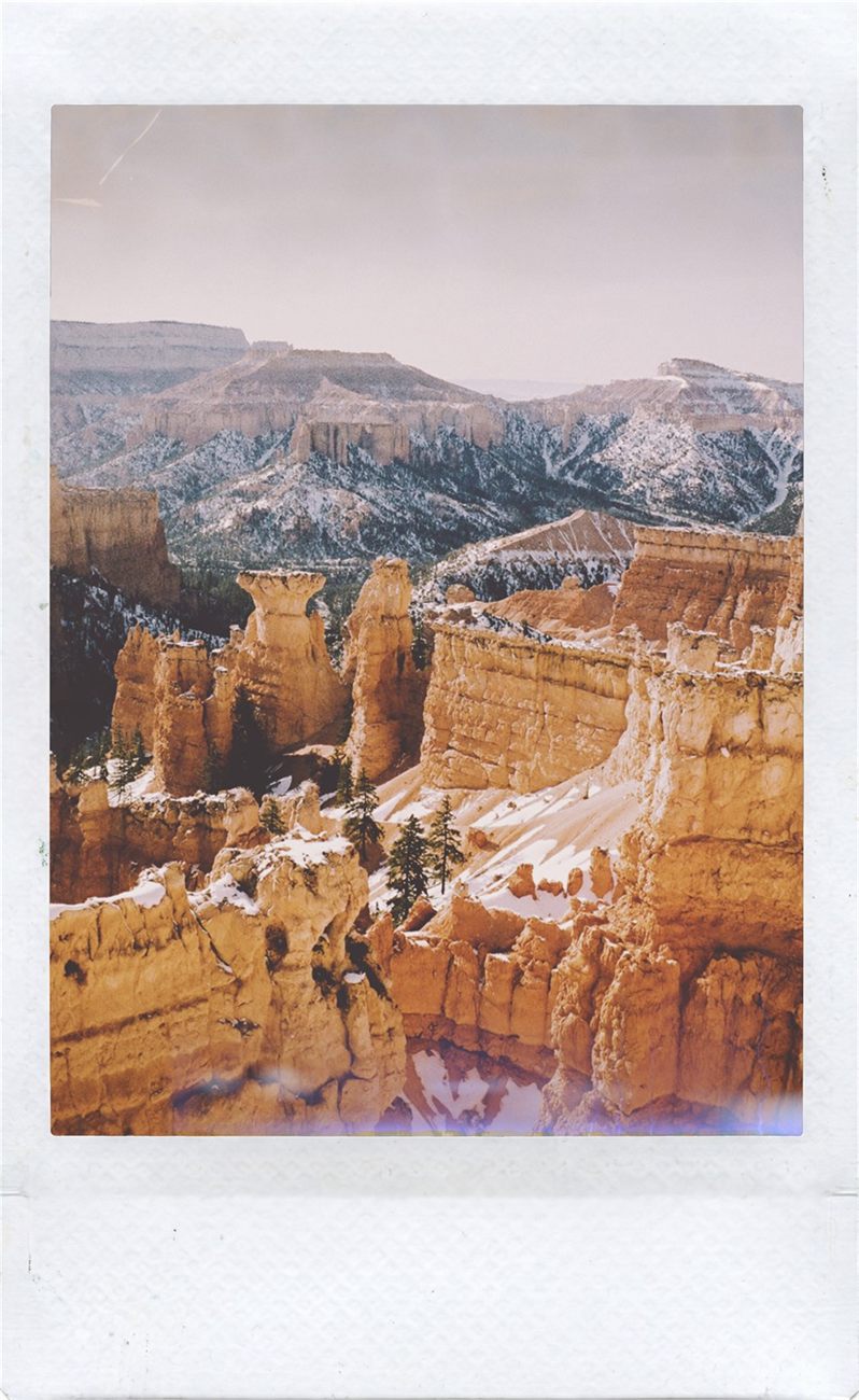 A photo composited as a tall mini instant-film print